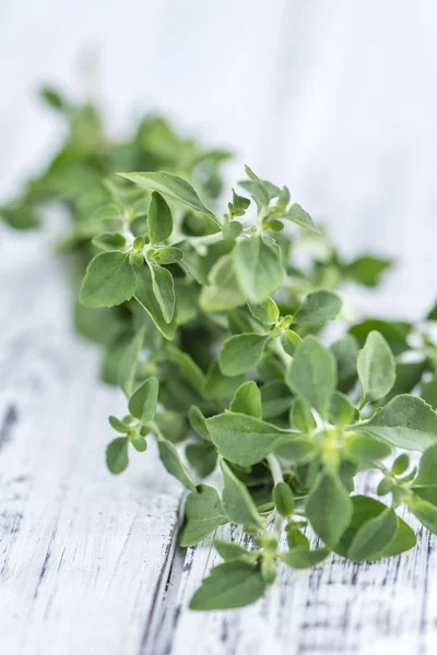 Frische Mentholblätter — Stockfoto