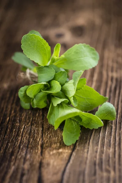 Portion of Stevia leaves — Stock Photo, Image