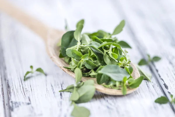 Table with fresh Menthol leaves — Stock Photo, Image