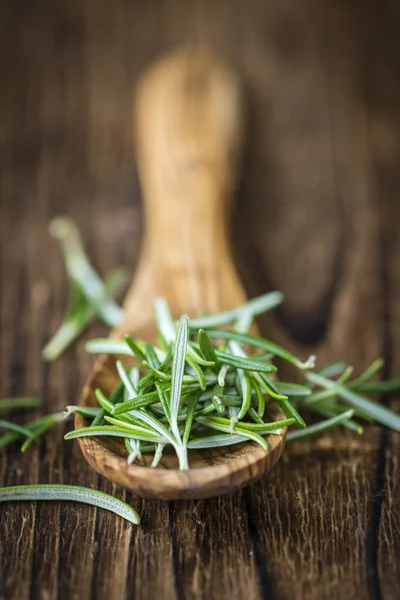 Portion of fresh Rosemary — Stock Photo, Image