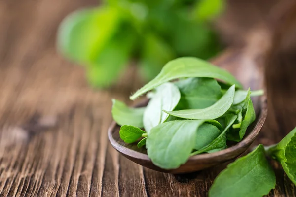 Mesa de madeira com folhas de Stevia — Fotografia de Stock