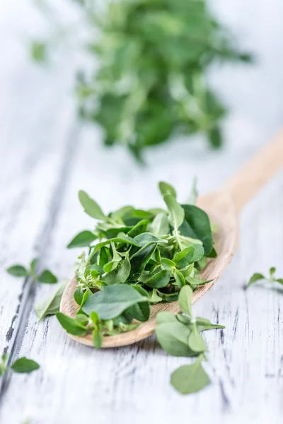 Beautiful menthol leaves — Stock Photo, Image