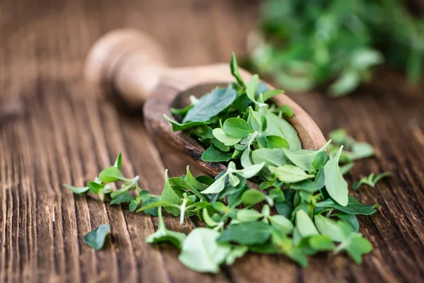 Mooie menthol bladeren — Stockfoto