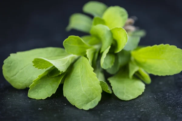 Kilka świeżych liści Stevia — Zdjęcie stockowe