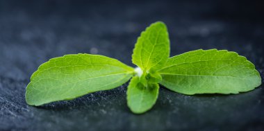  fresh Stevia leaves (selective focus) clipart