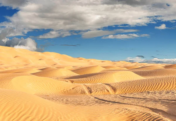 Offroad Jeep Safari Beautiful Omani Rub Chali Desert — Stock Photo, Image