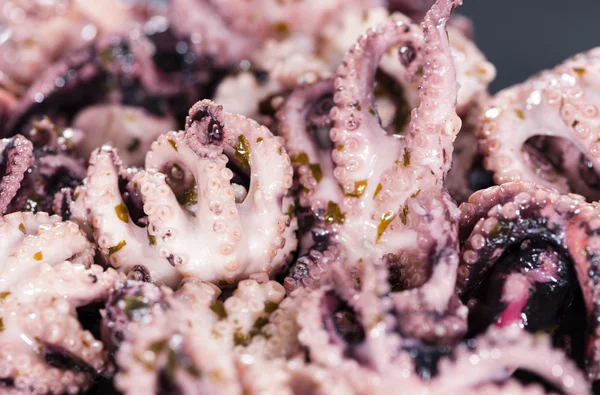 Octopus Salad with oil — Stock Photo, Image