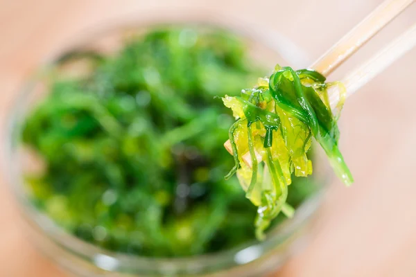 Portion Kelp-Salat — Stockfoto