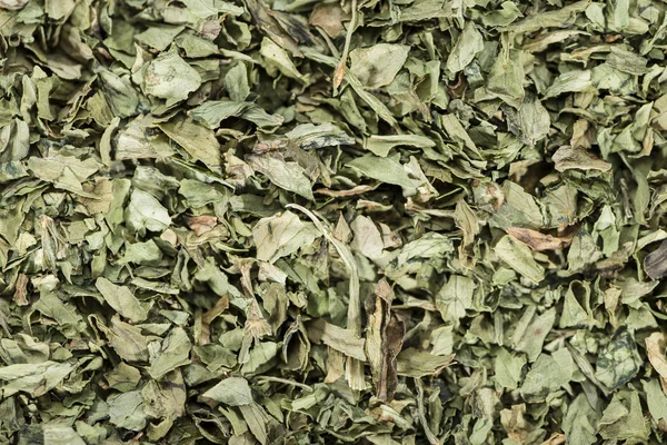 Asciugato Lovage sfondo — Foto Stock