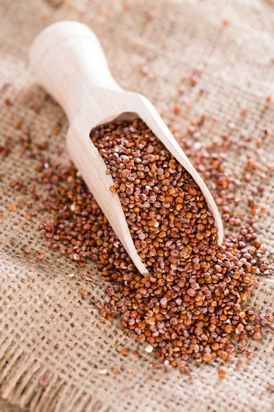 Kochlöffel mit roter Quinoa — Stockfoto