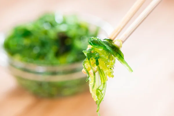 Groene Kelp salade — Stockfoto