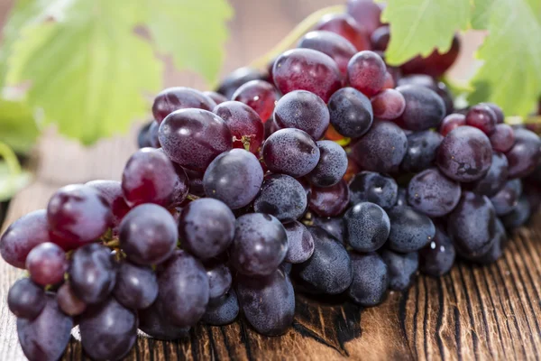 Frische blaue Trauben — Stockfoto