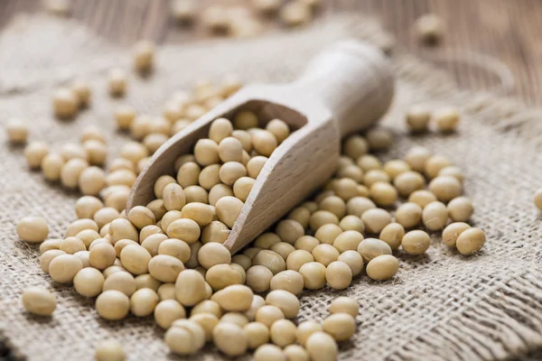 Heap of Soy Beans — Stock Photo, Image