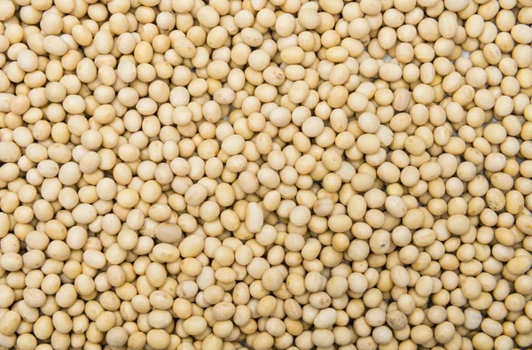 Soy Beans background — Stock Photo, Image