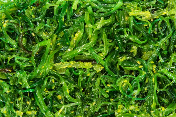 Kelp Salad background — Stock Photo, Image