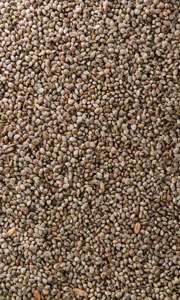 Hemp Seed background — Stock Photo, Image