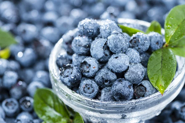 Anteil frisch geernteter Blaubeeren — Stockfoto