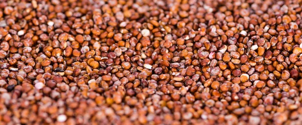 Röd Quinoa bakgrund — Stockfoto
