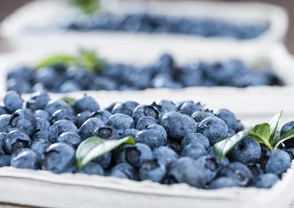 Frisch geerntete Blaubeeren — Stockfoto