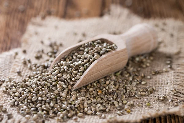 Heap of Hemp Seeds — Stock Photo, Image