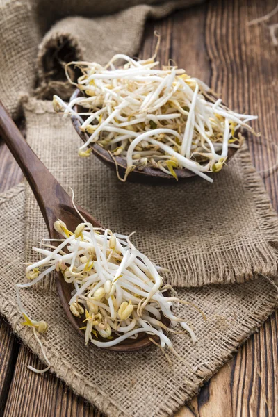 Mungbean Sprouts на столе — стоковое фото