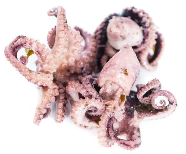 Pulpo pequeño sobre blanco —  Fotos de Stock