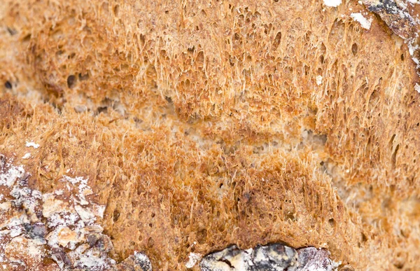 Walnut Bread Background — Zdjęcie stockowe