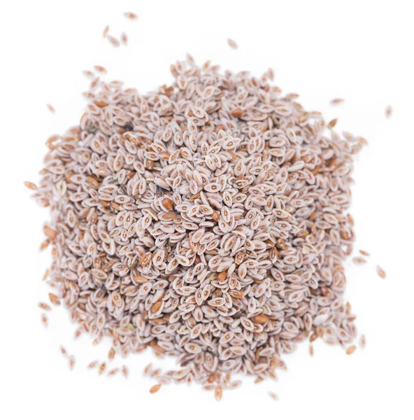 Halda Psyllium semen — Stock fotografie