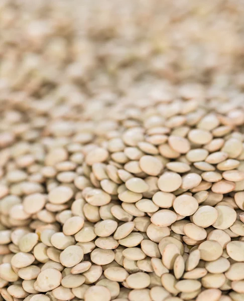 Brown Lentils as Background — Stock Photo, Image