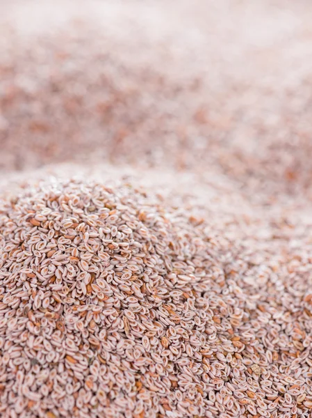 Heap de sementes de Psyllium como fundo — Fotografia de Stock