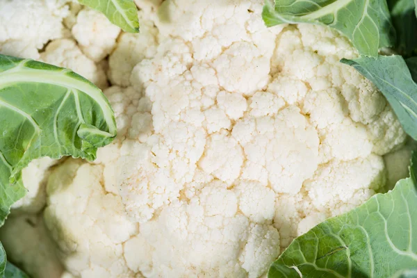 Portion of fresh Cauliflower as background — Stock Photo, Image