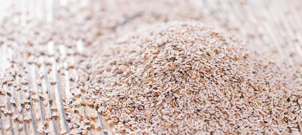 Portion de graines de psyllium — Photo