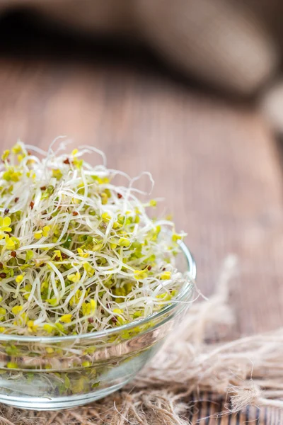 Brotes de brócoli fresco —  Fotos de Stock