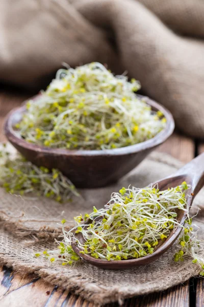 Verse Broccoli spruiten — Stockfoto