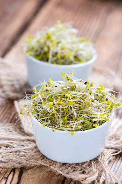 Brotes de brócoli fresco —  Fotos de Stock