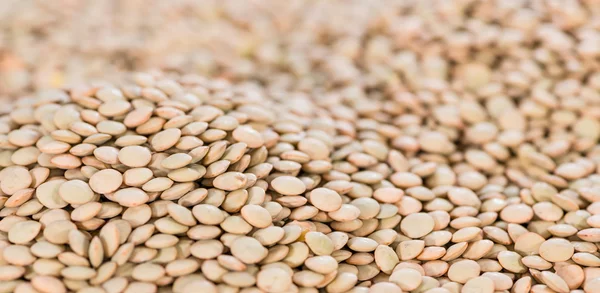 Brown Lentils Backgorund — Stock Photo, Image