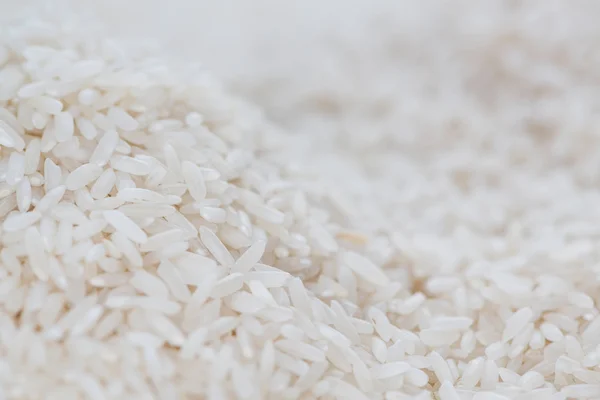 White Rice Background — Stock Photo, Image