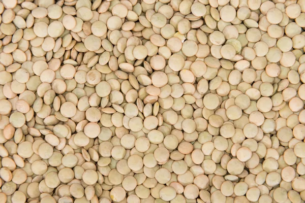 Brown Lentils Backgorund — Stock Photo, Image
