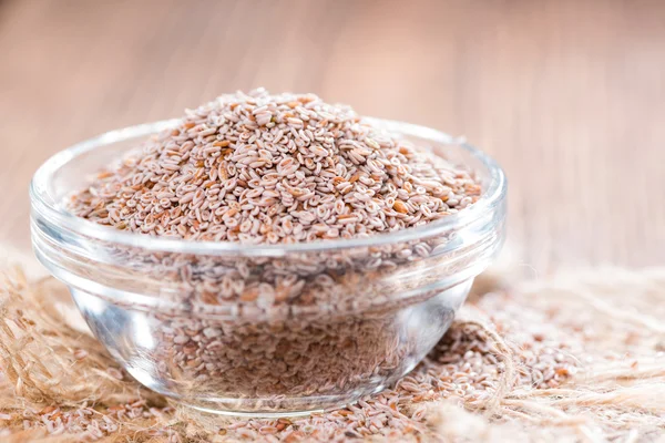 Heap of fresh Psyllium seeds — Stock Photo, Image