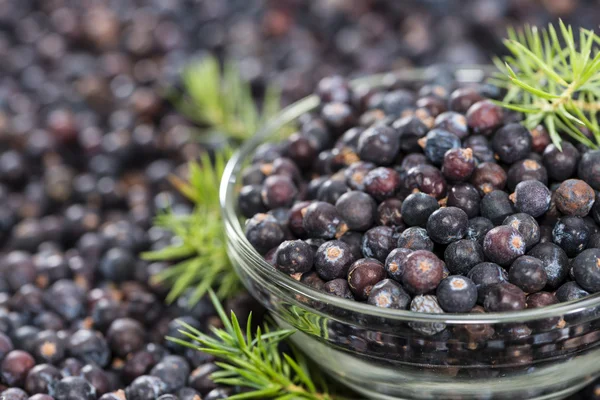 Juniper Berries background image — Stock Photo, Image