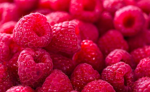 Raspberries food background — Stock Photo, Image