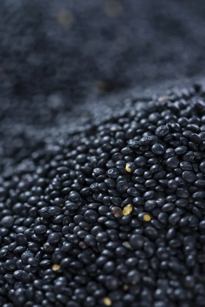 Black Lentils (food background) — Stock Photo, Image
