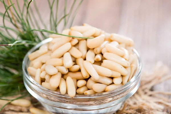 Pine Nuts — Stock Photo, Image