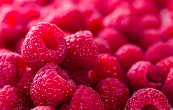 Raspberries food background — Stock Photo, Image