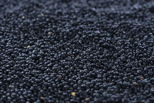 Black Lentils food background — Stockfoto
