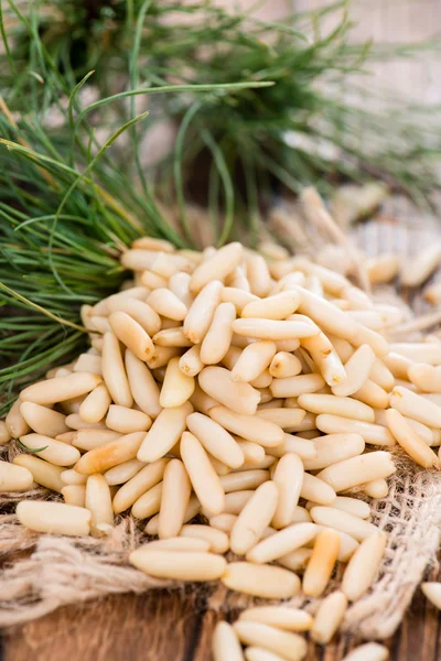Some fresh Pine Nuts — Stock Photo, Image