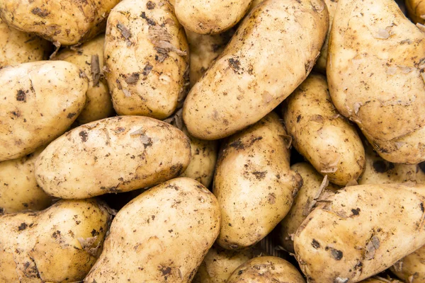 Heap of freh Potatoes — Stock Photo, Image