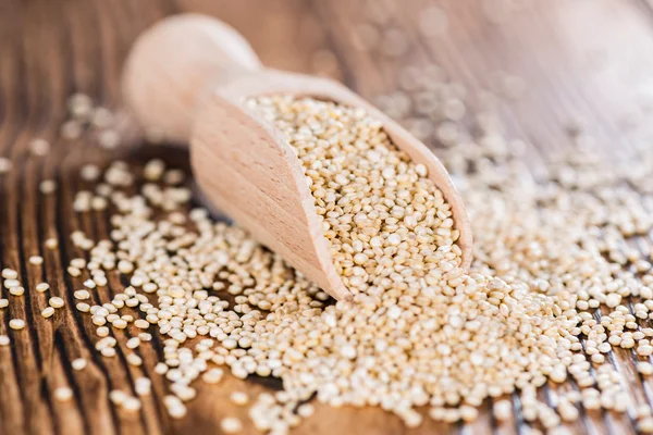 Portion of uncooked Quinoa — Stock Photo, Image