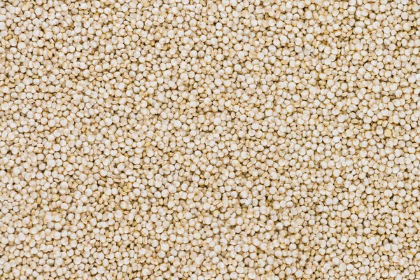 Porção de Quinoa para utilização como fundo — Fotografia de Stock