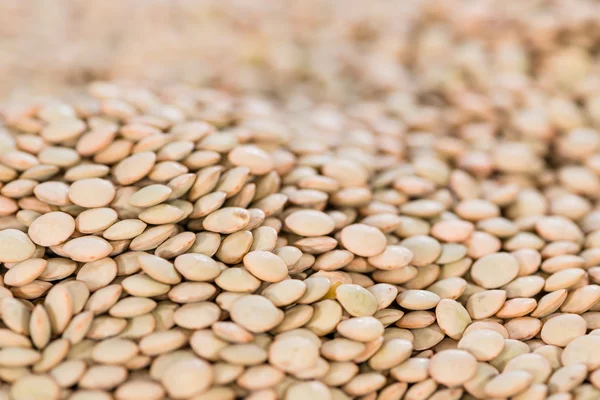 Brown Lentils Backgorund — Stock Photo, Image